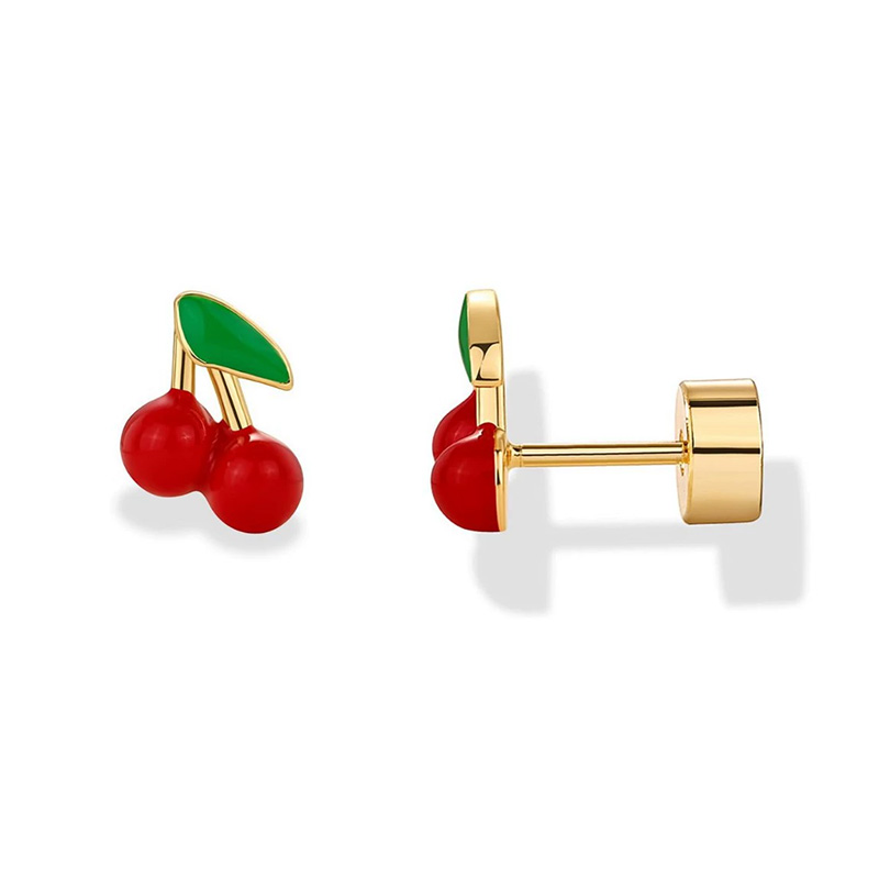 2 Stück Knorpel-Ohrringe für D – Body Jewelry Surgical Steel Bewertung und Preis