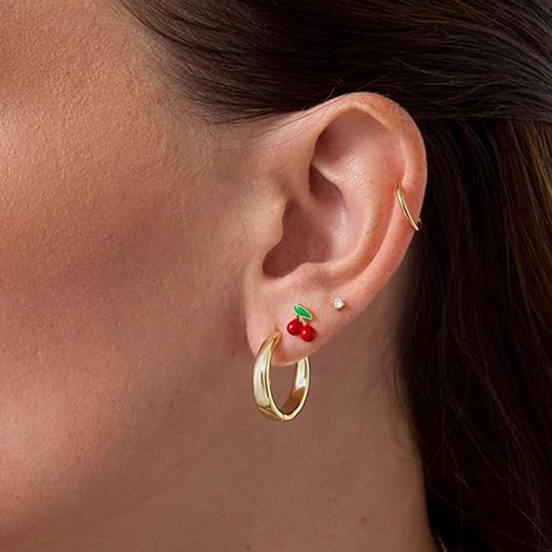 2 Stück Knorpel-Ohrringe für D – Body Jewelry Surgical Steel Bewertung und Preis